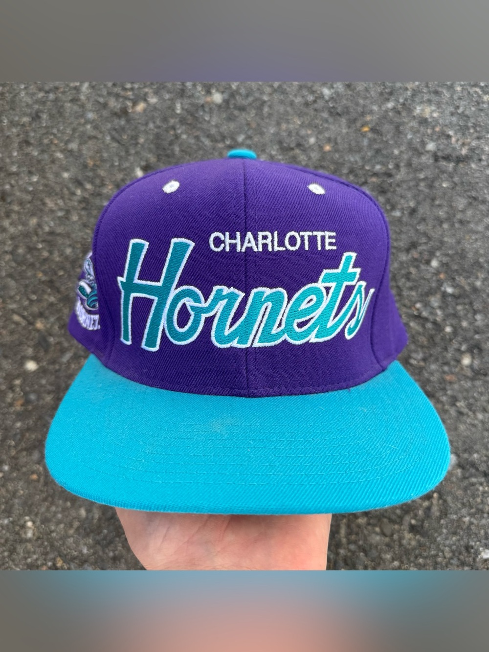 Charlotte Hornets Script SnapBack Hat Adult Men OSFA Adjustable Mitchell & Ness